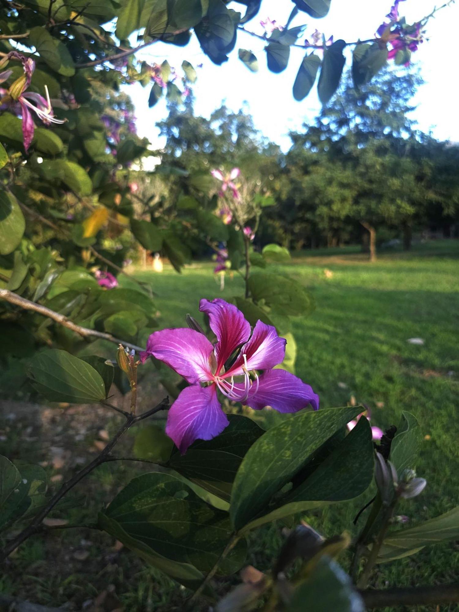 Pai Kiniman Resort Eksteriør billede