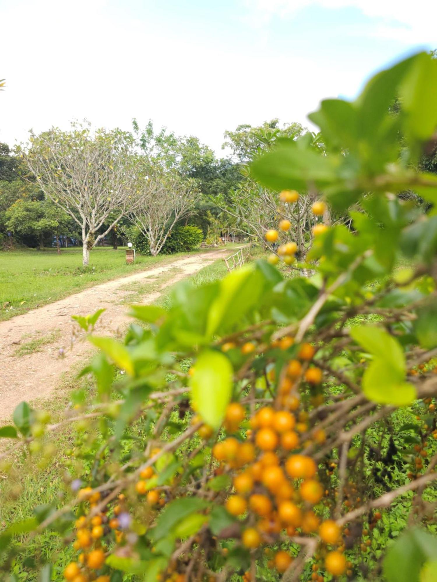 Pai Kiniman Resort Eksteriør billede